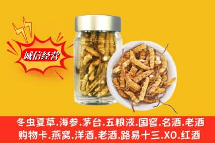 锡林郭勒苏尼特右旗回收散虫草